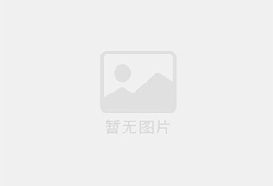 善厚个人新能源轿车出售